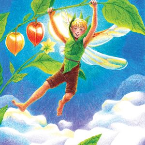 Postal Hada aguaymanto